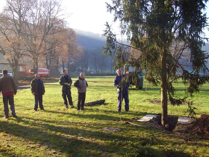 img00003.jpg
