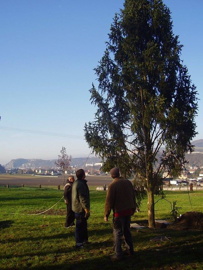 img00005.jpg