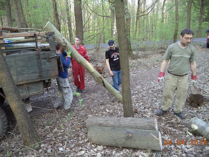 img00003.jpg