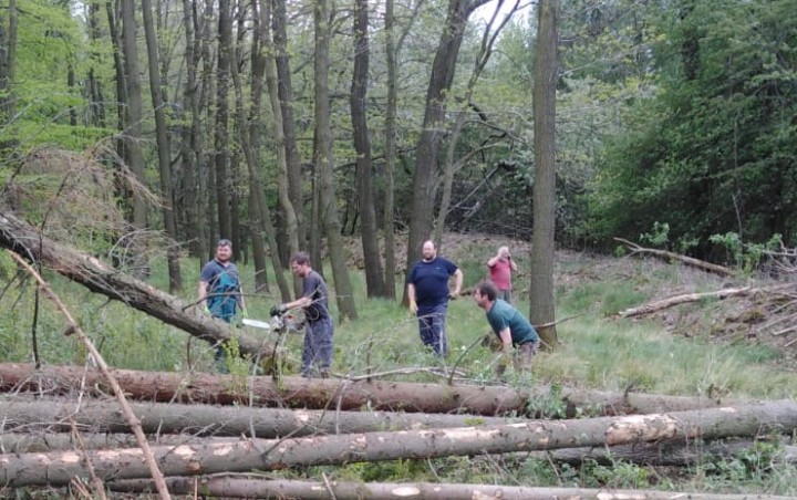 img00005.jpg
