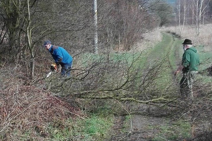 img00004.jpg