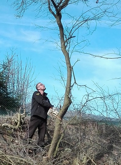 img00010.jpg